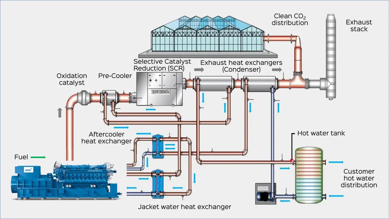 Glasshouse CHP Schematic