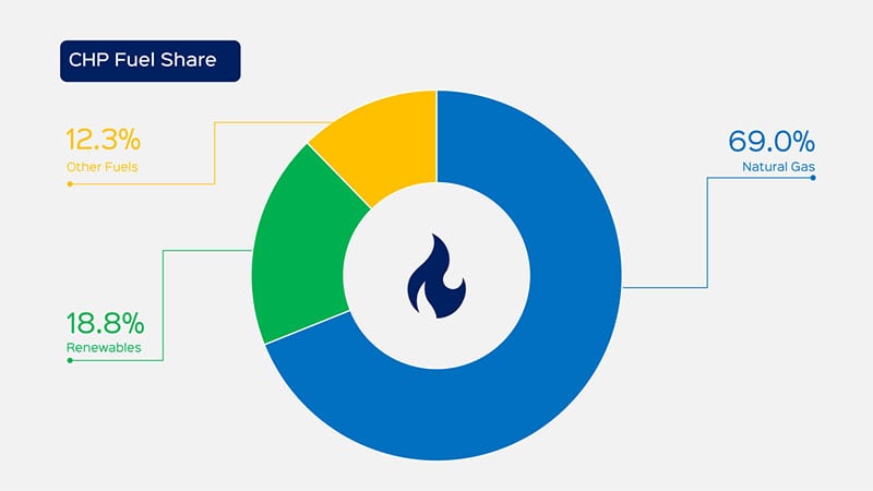 UK CHP Capacity by Fuel Share