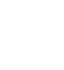 mitsubishi-white_100x110