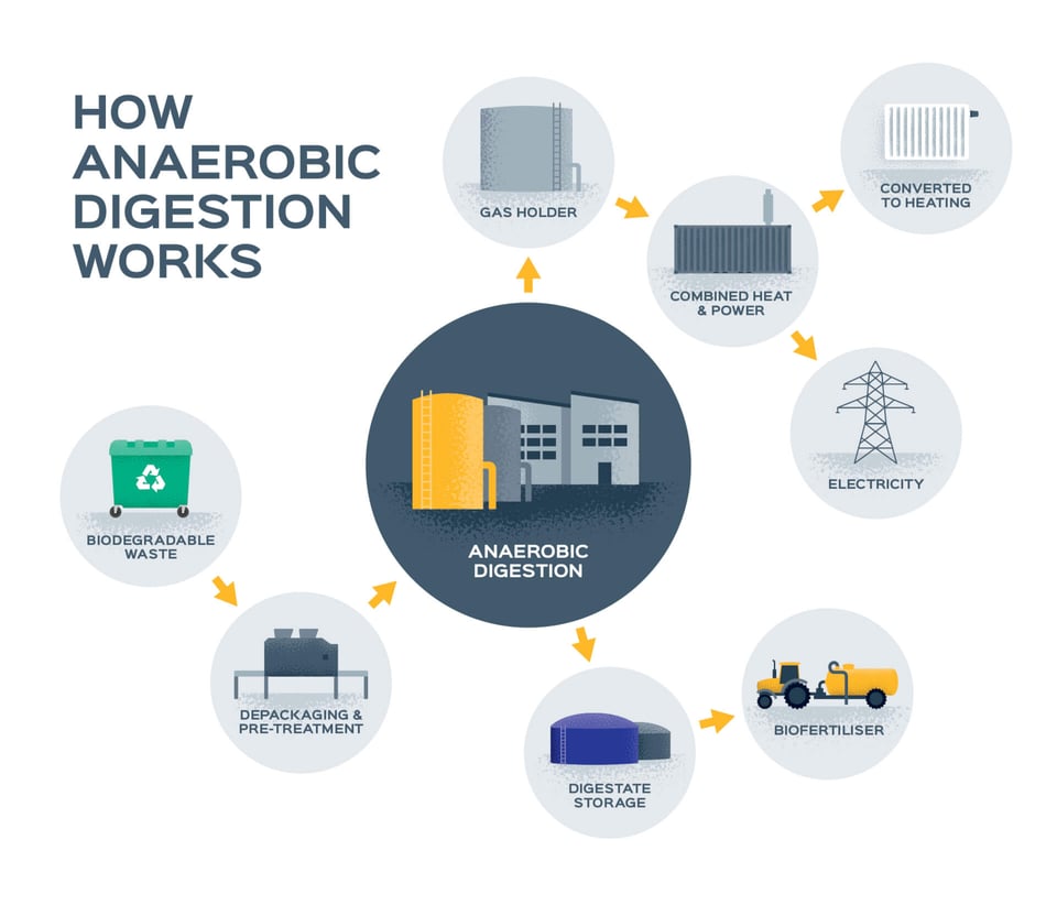 How anaerobic digestion works