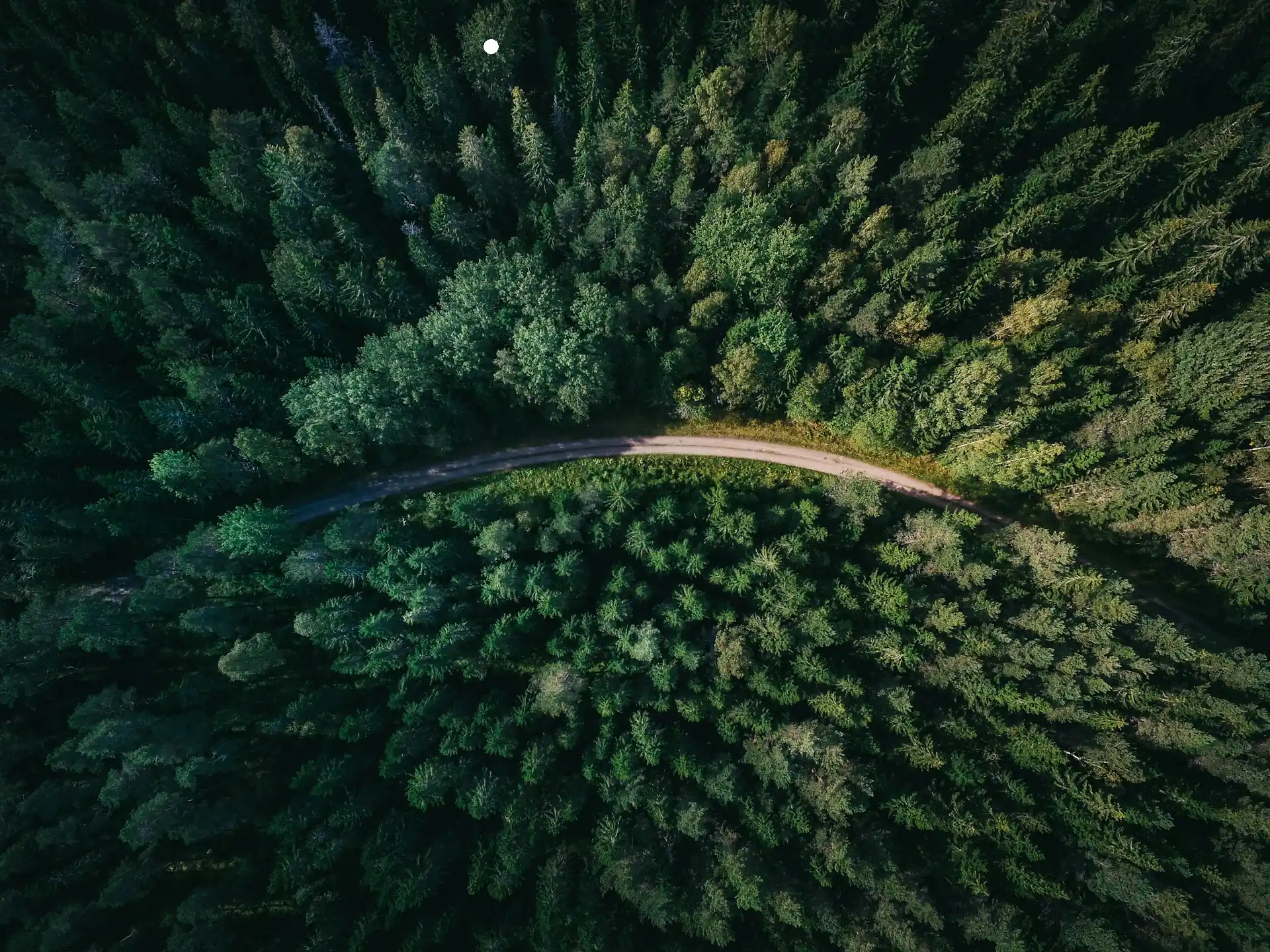 geranimo-qzgN45hseN0-unsplash